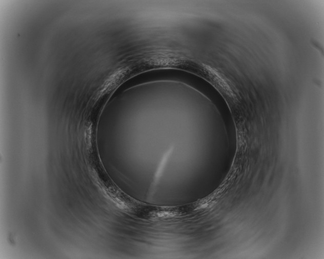 X0000097470163200802291319