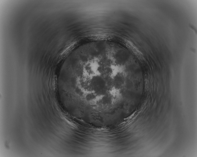 X0000097470165200802291319