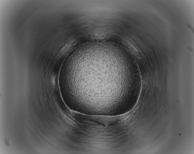 X0000097470166200802291319