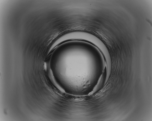 X0000097470168200802291320