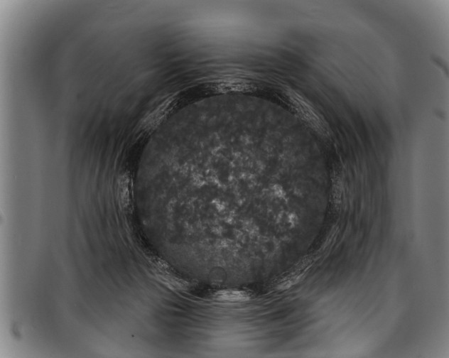X0000097470169200802291320