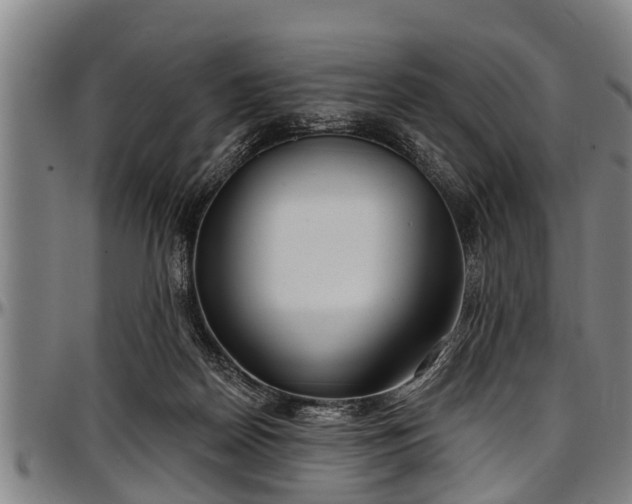X0000097470170200802291320