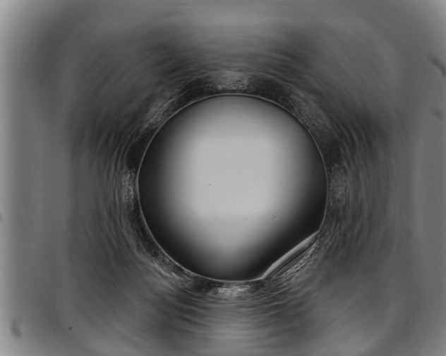 X0000097470172200802291320