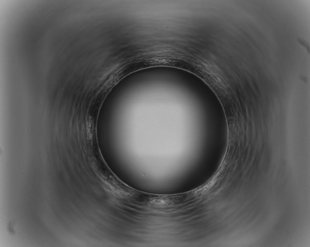 X0000097470174200802291320