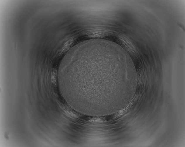 X0000097470175200802291320