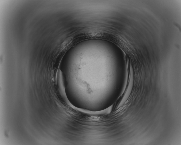 X0000097470176200802291320