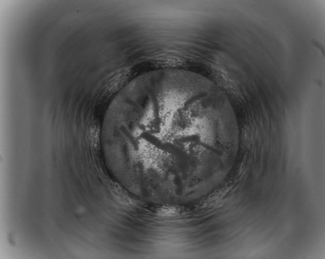 X0000097470177200802291320