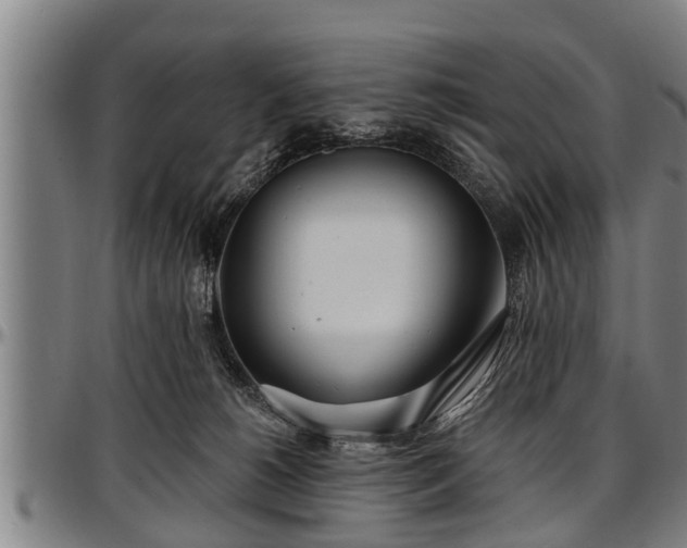 X0000097470180200802291320