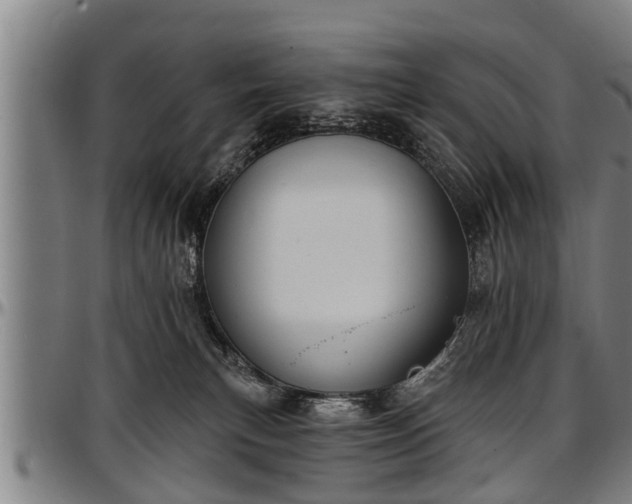 X0000097470183200802291320