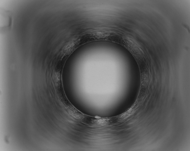 X0000097470184200802291320