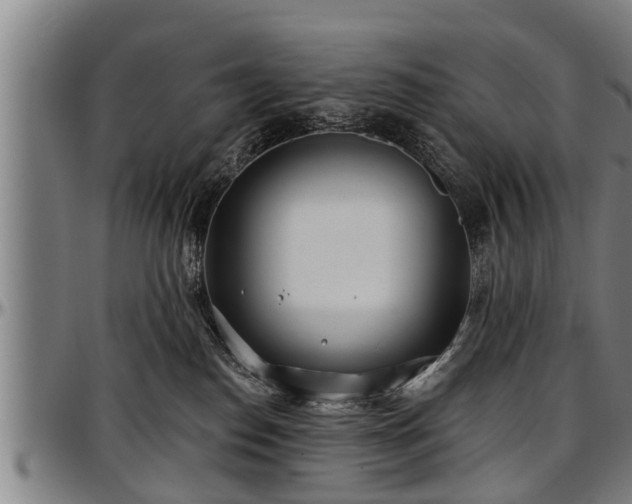 X0000097470186200802291320