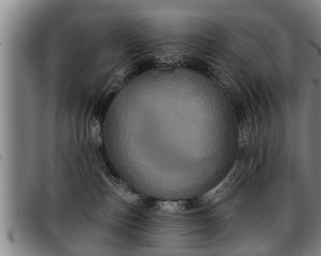 X0000097470187200802291320