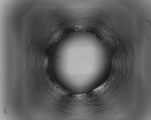 X0000097470188200802291320