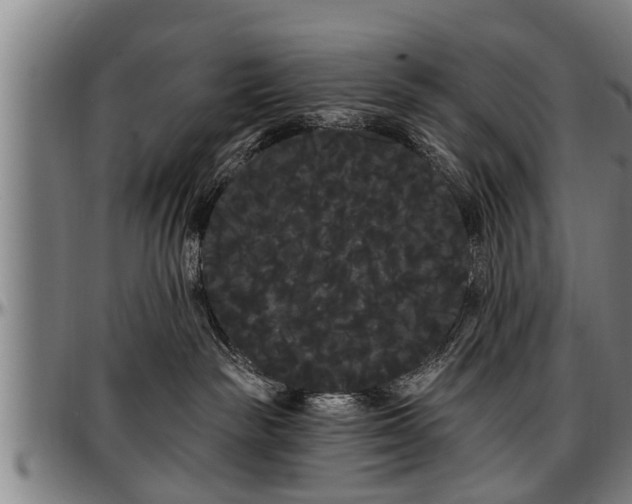 X0000097470189200802291320