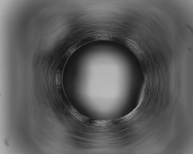 X0000097470190200802291320
