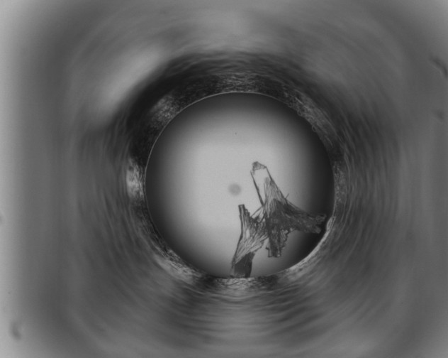 X0000097470191200802291320