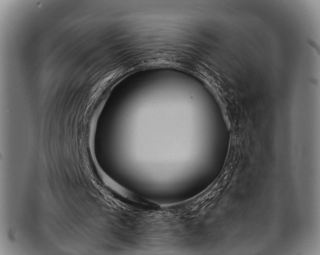 X0000097470193200802291319
