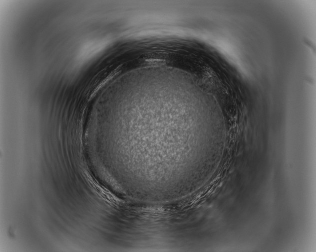 X0000097470194200802291319