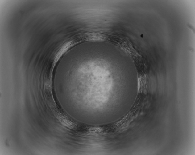 X0000097470195200802291319