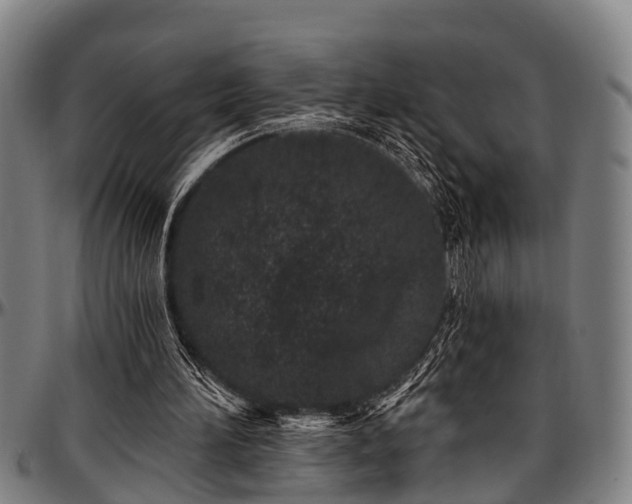 X0000097470196200802291319