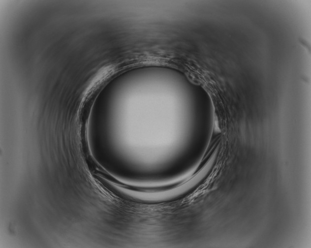 X0000097470197200802291319