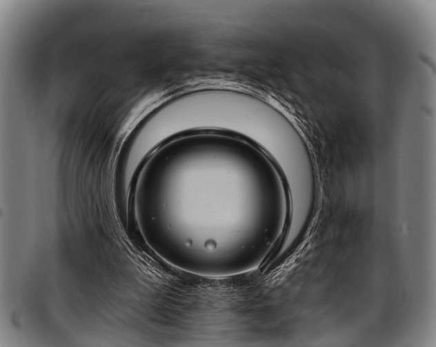 X0000097470199200802291319