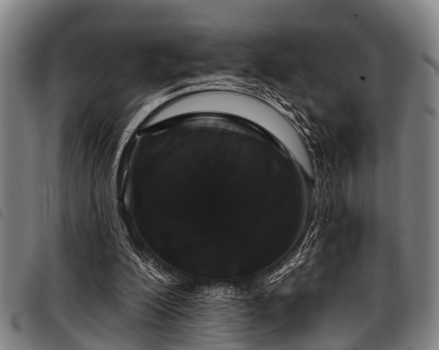 X0000097470200200802291319