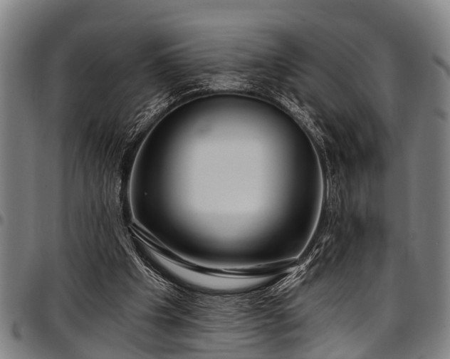 X0000097470201200802291319
