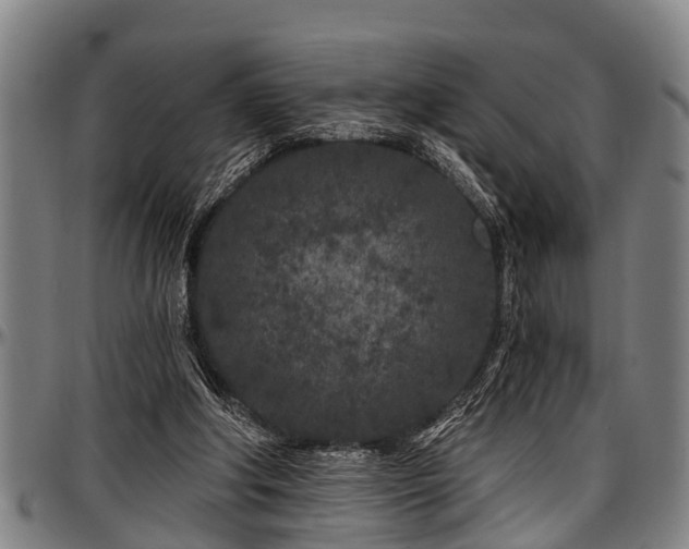 X0000097470202200802291319