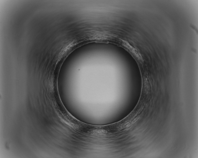 X0000097470203200802291319