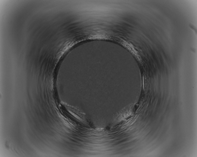 X0000097470204200802291319