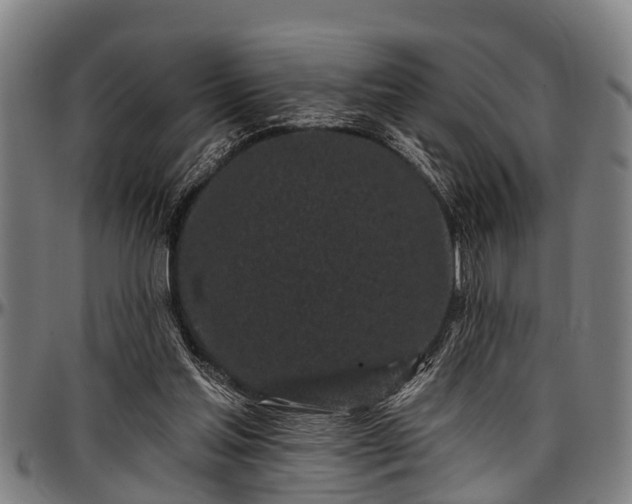 X0000097470205200802291319