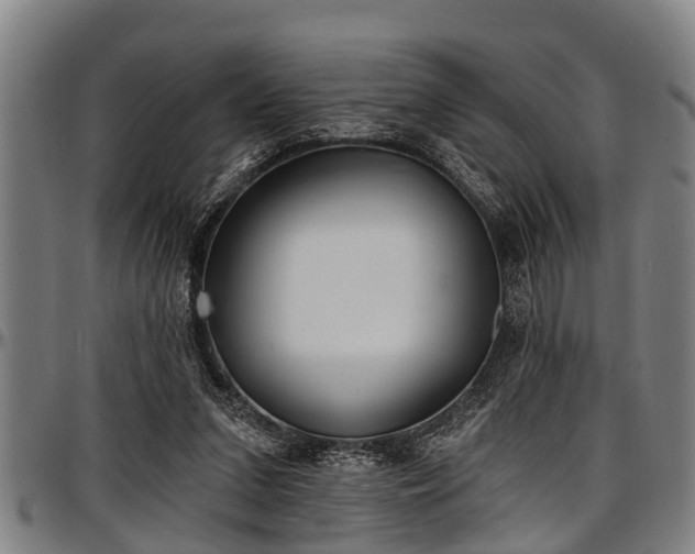 X0000097470207200802291319