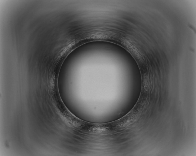 X0000097470208200802291319