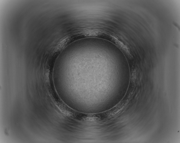 X0000097470209200802291319