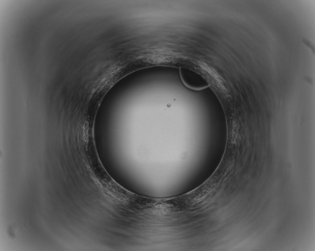 X0000097470210200802291319