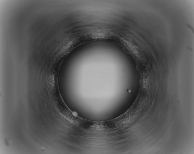 X0000097470211200802291319