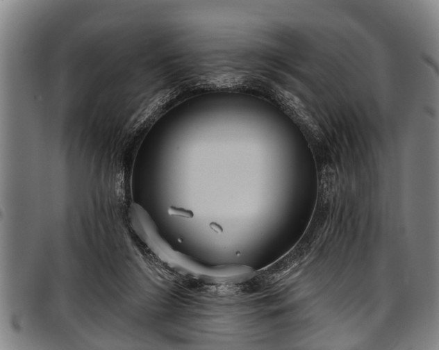 X0000097470212200802291319