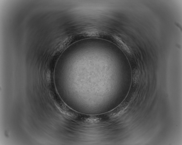 X0000097470213200802291319