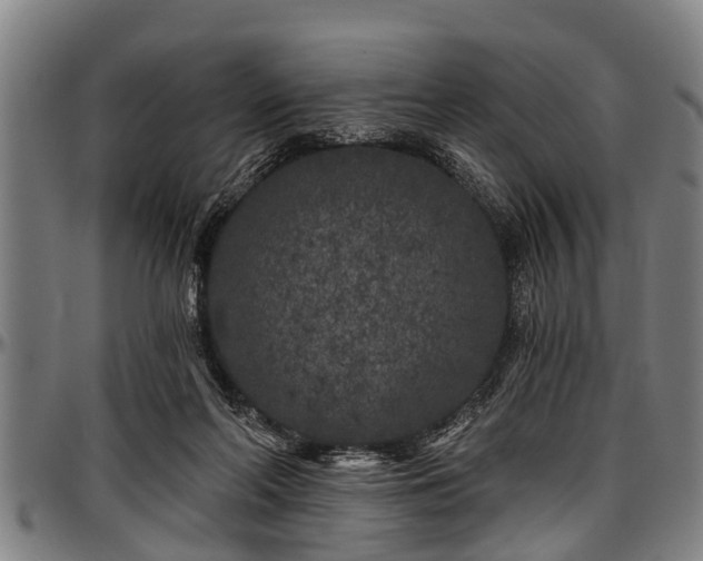 X0000097470214200802291319