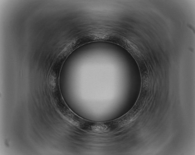 X0000097470215200802291319