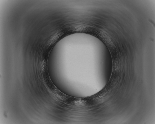 X0000097470216200802291319