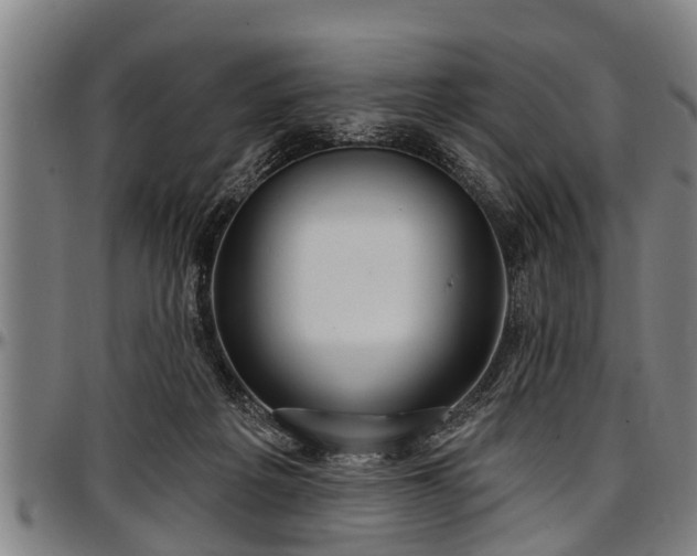 X0000097470217200802291319