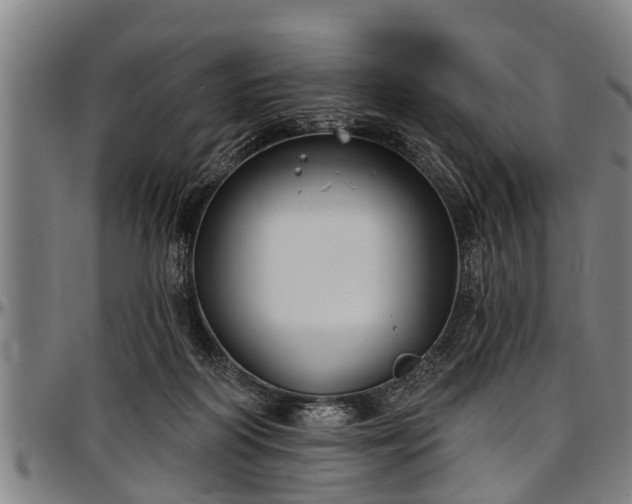 X0000097470218200802291319