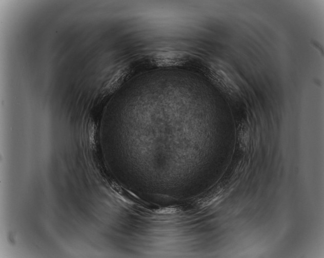 X0000097470219200802291319