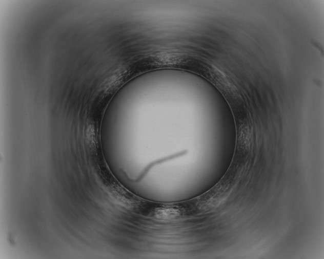 X0000097470220200802291319