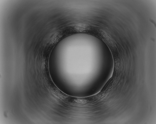 X0000097470221200802291319
