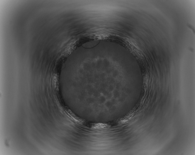 X0000097470222200802291319