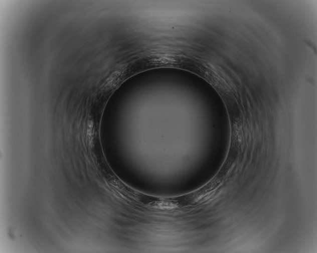 X0000097470223200802291319