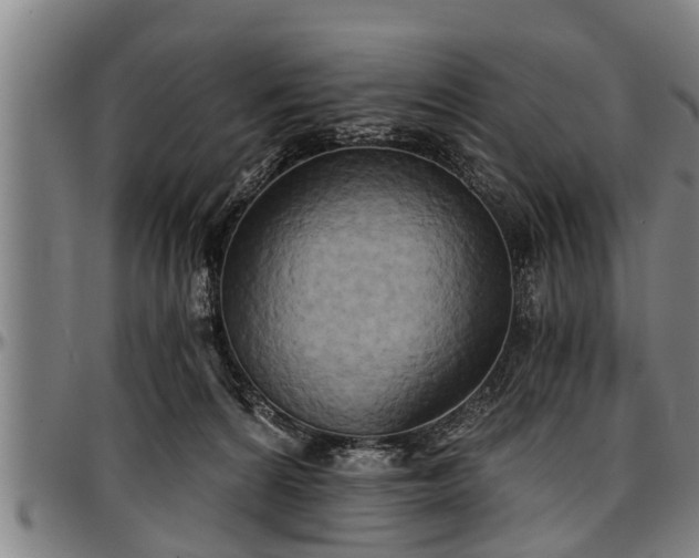 X0000097470224200802291319
